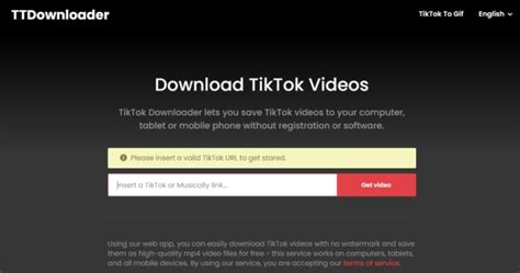 Unduh video TikTok tanpa watermark, dapatkan semua clip tanpa logo TT. . T t downloader